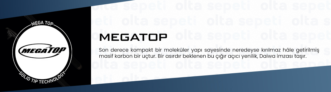 megatopjpg.jpeg